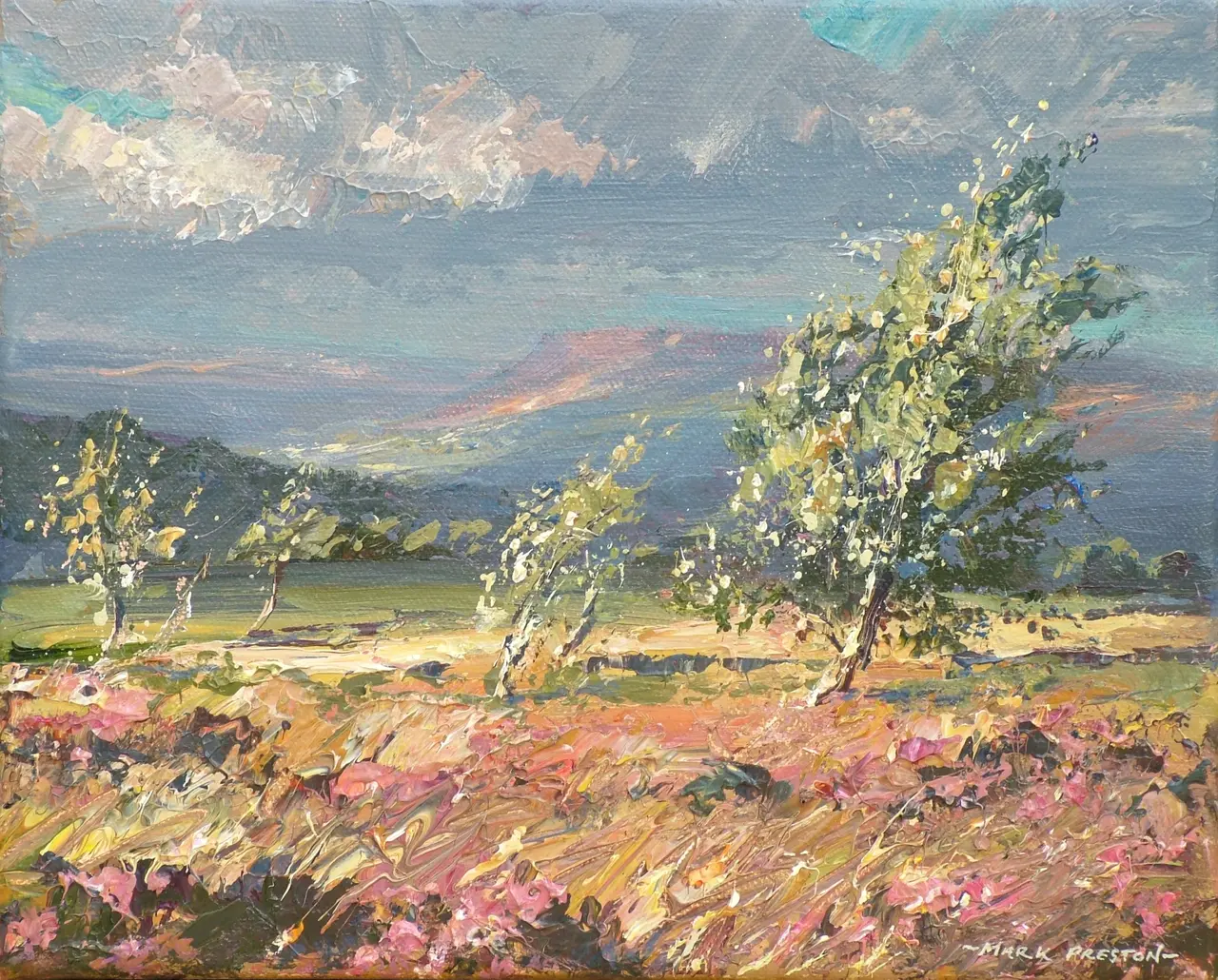 Mark Preston - windswept silver birches, froggatt edge